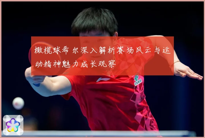 橄榄球希尔深入解析赛场风云与运动精神魅力成长观察