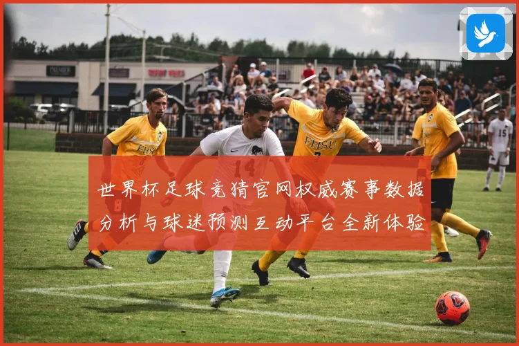 世界杯足球竞猜官网权威赛事数据分析与球迷预测互动平台全新体验
