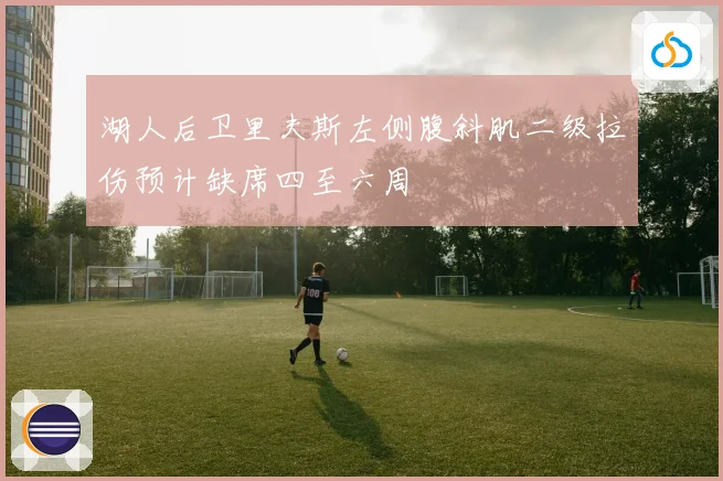湖人后卫里夫斯左侧腹斜肌二级拉伤预计缺席四至六周
