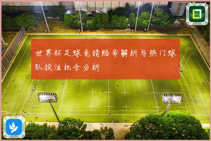 世界杯足球竞猜赔率解析与热门球队投注机会分析