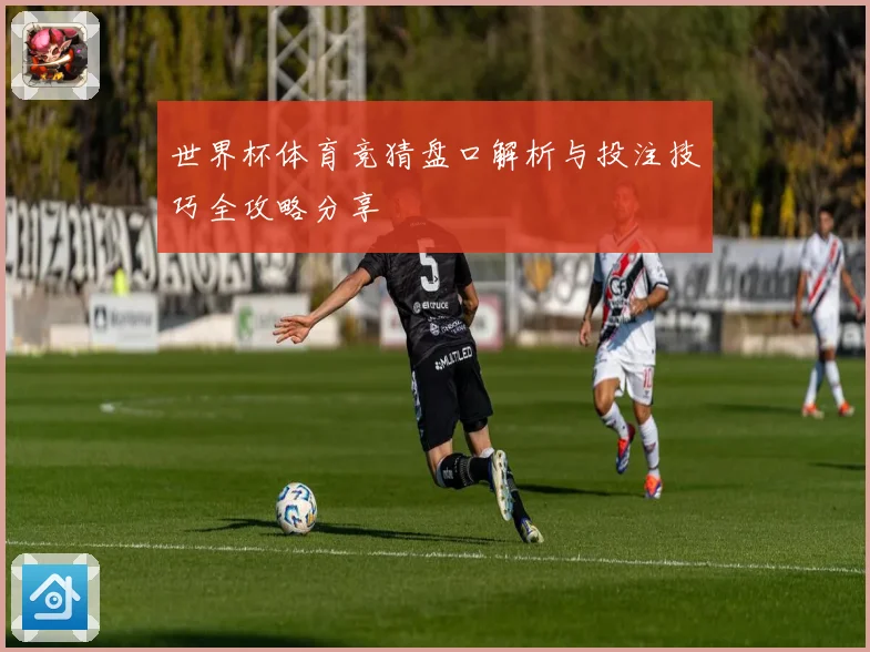 世界杯体育竞猜盘口解析与投注技巧全攻略分享