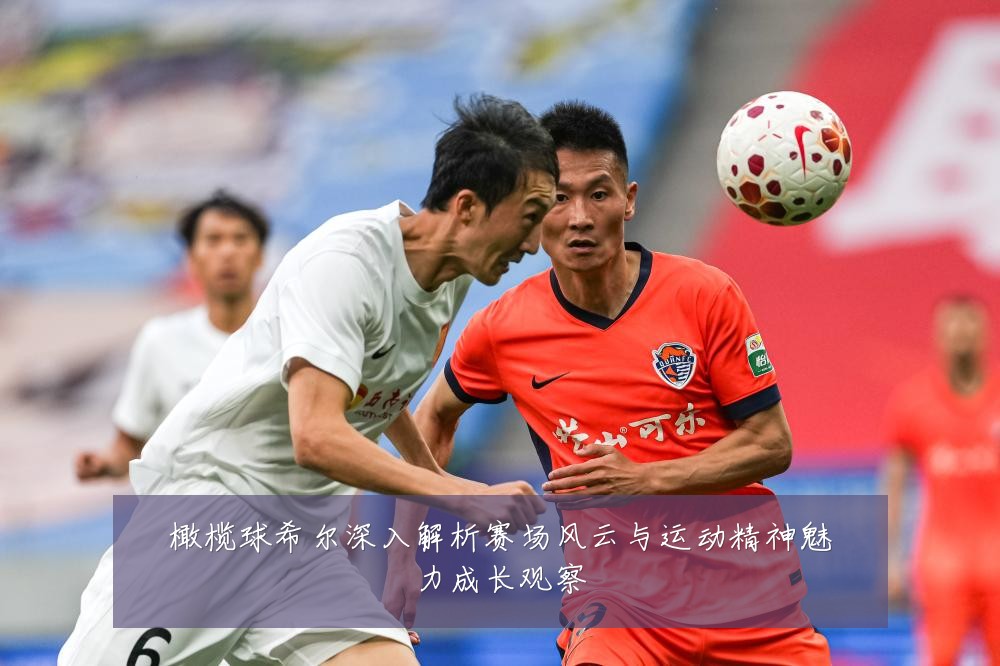 橄榄球希尔深入解析赛场风云与运动精神魅力成长观察