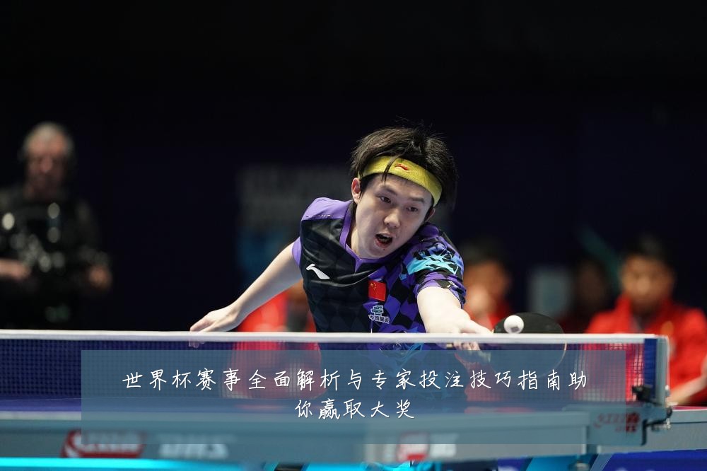 世界杯赛事全面解析与专家投注技巧指南助你赢取大奖