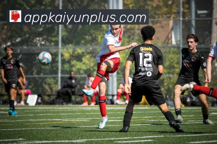 开云App官方下载入口 - 客户端下载安装与使用说明 | 开云 Slide 1